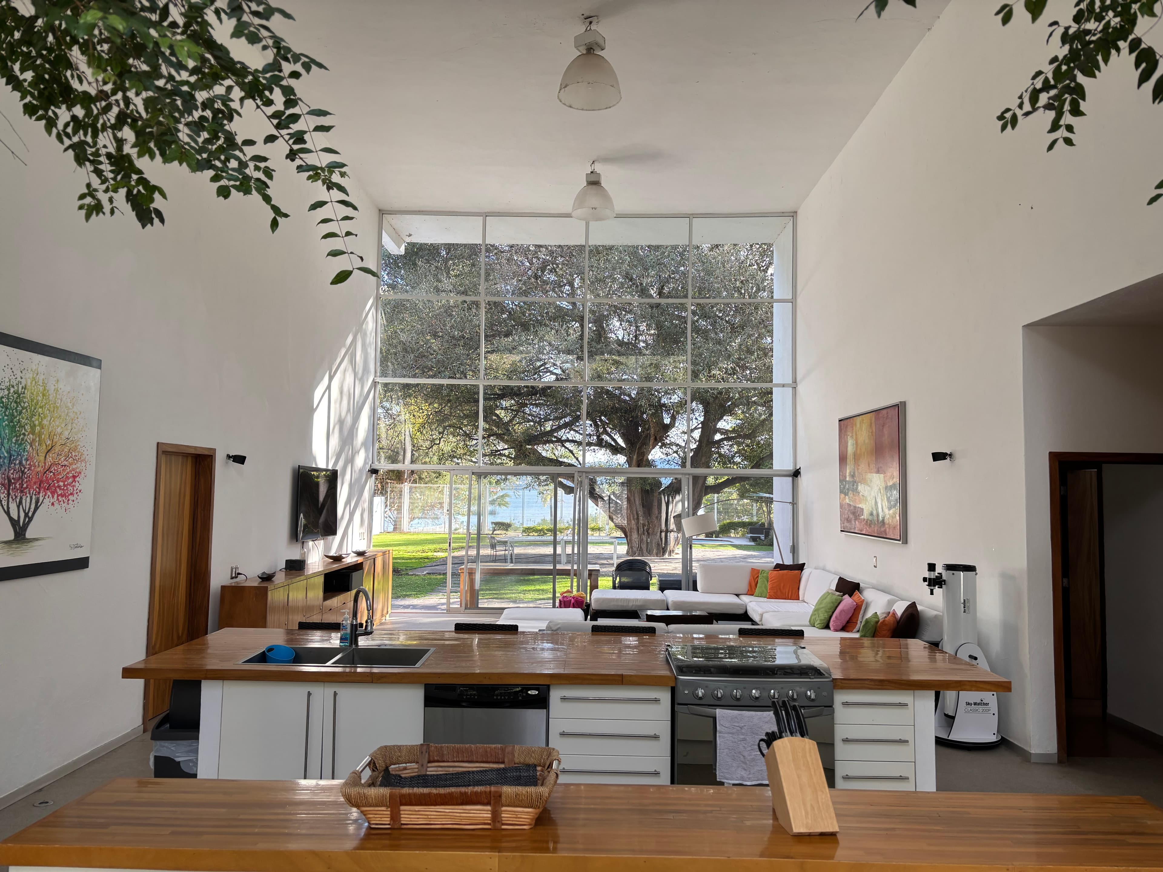 Casa del Árbol - Interior con vista al árbol centenario