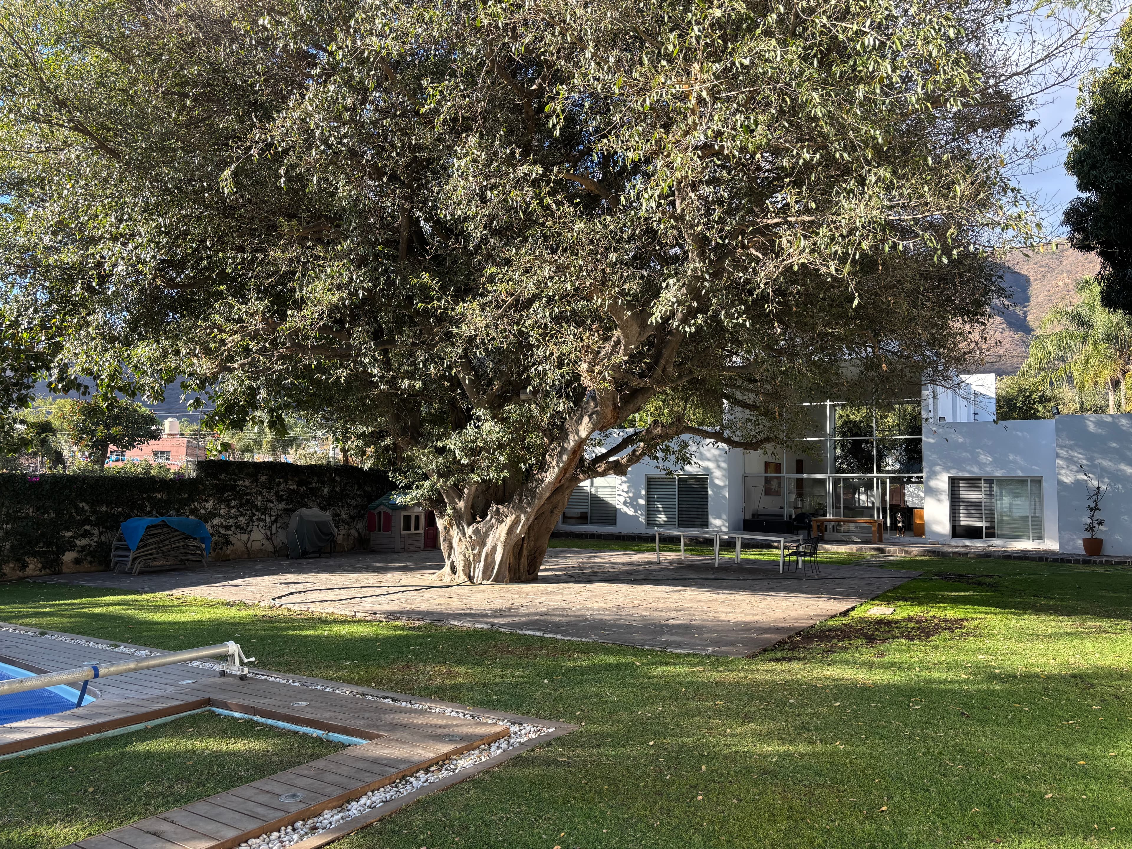 Vista del jardín y la casa